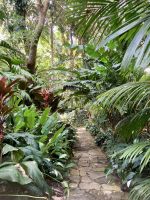 Botanischer Garten &ndash; &copy; Mareike Schmidt (Eberhardt TRAVEL)
