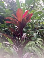 Botanischer Garten &ndash; &copy; Mareike Schmidt (Eberhardt TRAVEL)