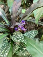 Botanischer Garten &ndash; &copy; Mareike Schmidt (Eberhardt TRAVEL)
