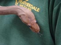 Python &ndash; &copy; René Wächtler (Eberhardt TRAVEL)