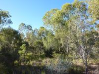 Im Alice Springs Desert Park &ndash; &copy; René Wächtler (Eberhardt TRAVEL)