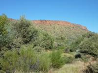 Im Alice Springs Desert Park &ndash; &copy; René Wächtler (Eberhardt TRAVEL)