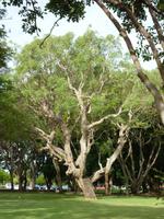 Darwin &ndash; &copy; René Wächtler (Eberhardt TRAVEL)