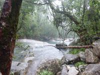 Josephine Falls &ndash; &copy; René Wächtler (Eberhardt TRAVEL)