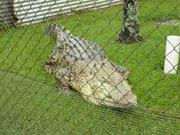 Beware of Crocs! &ndash; &copy; René Wächtler (Eberhardt TRAVEL)