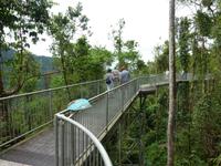 Mamu Canopy Walk &ndash; &copy; René Wächtler (Eberhardt TRAVEL)