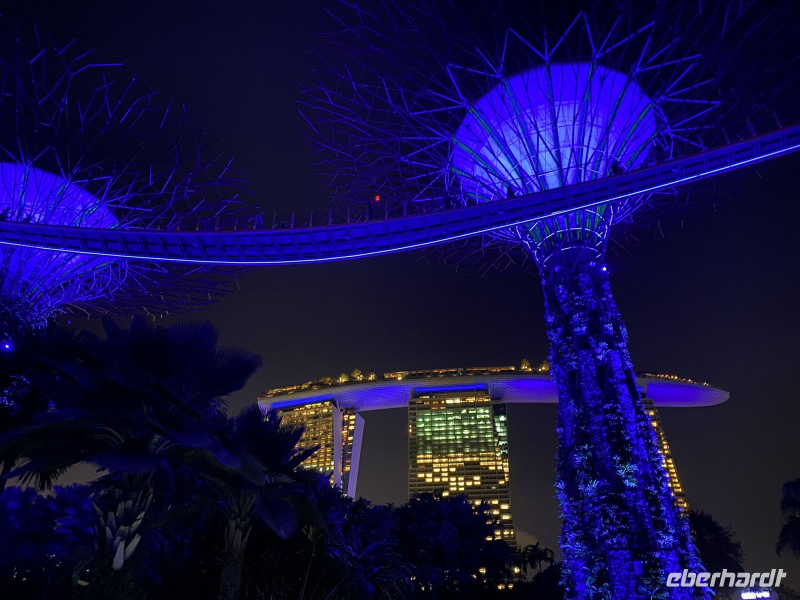 Garden by the Bay: Supertrees &ndash; &copy; Anne Fohlert (Eberhardt TRAVEL)