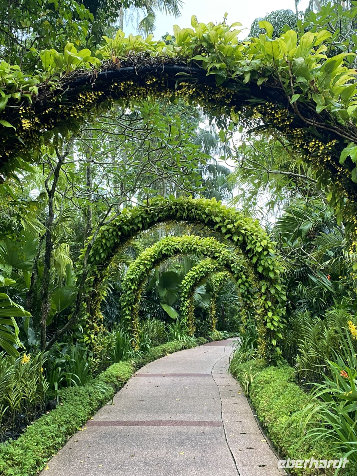 National Orchid Garden Singapur &ndash; &copy; Anne Fohlert (Eberhardt TRAVEL)