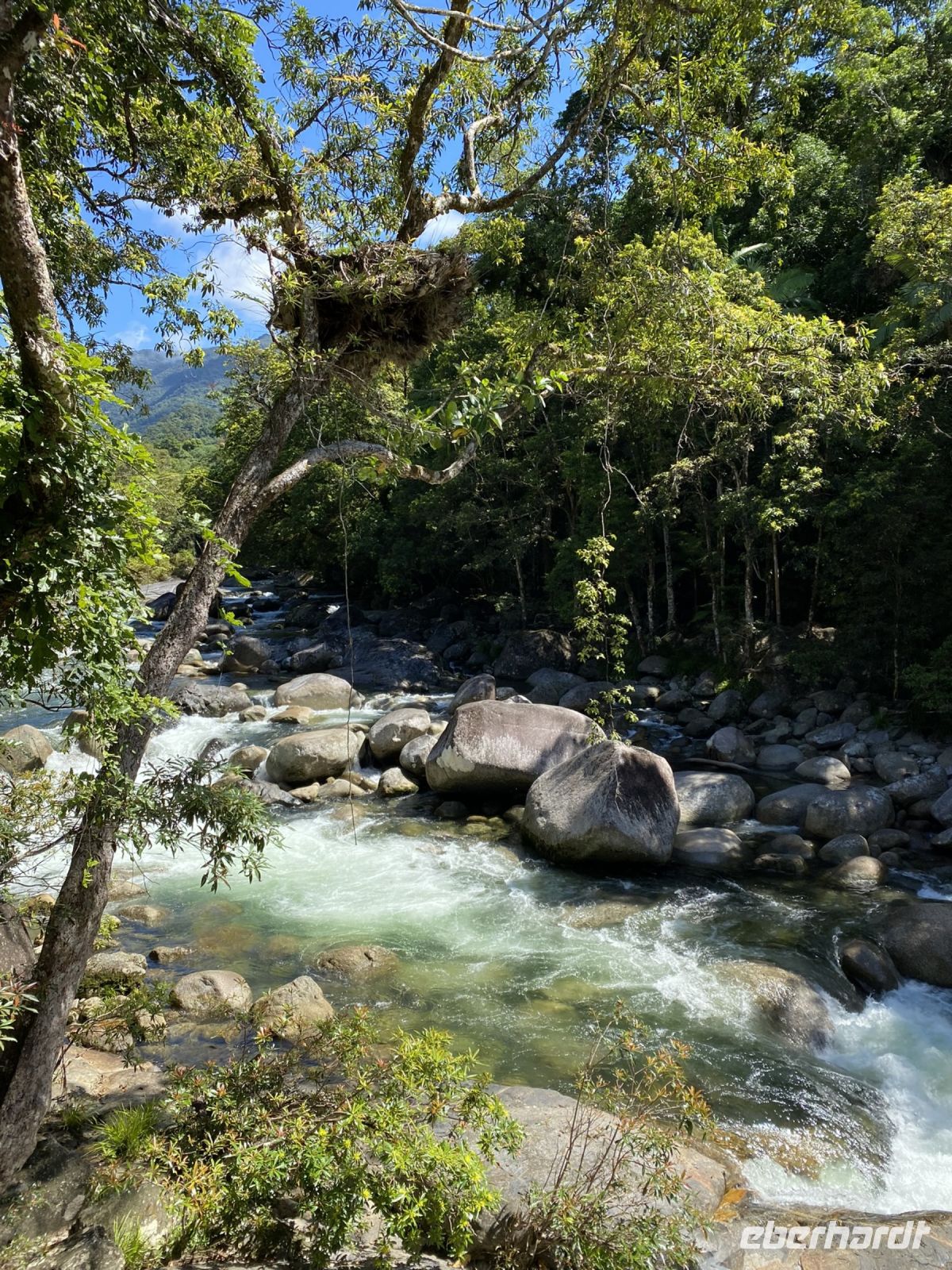 Mossman Gorge &ndash; &copy; Anne Fohlert (Eberhardt TRAVEL)