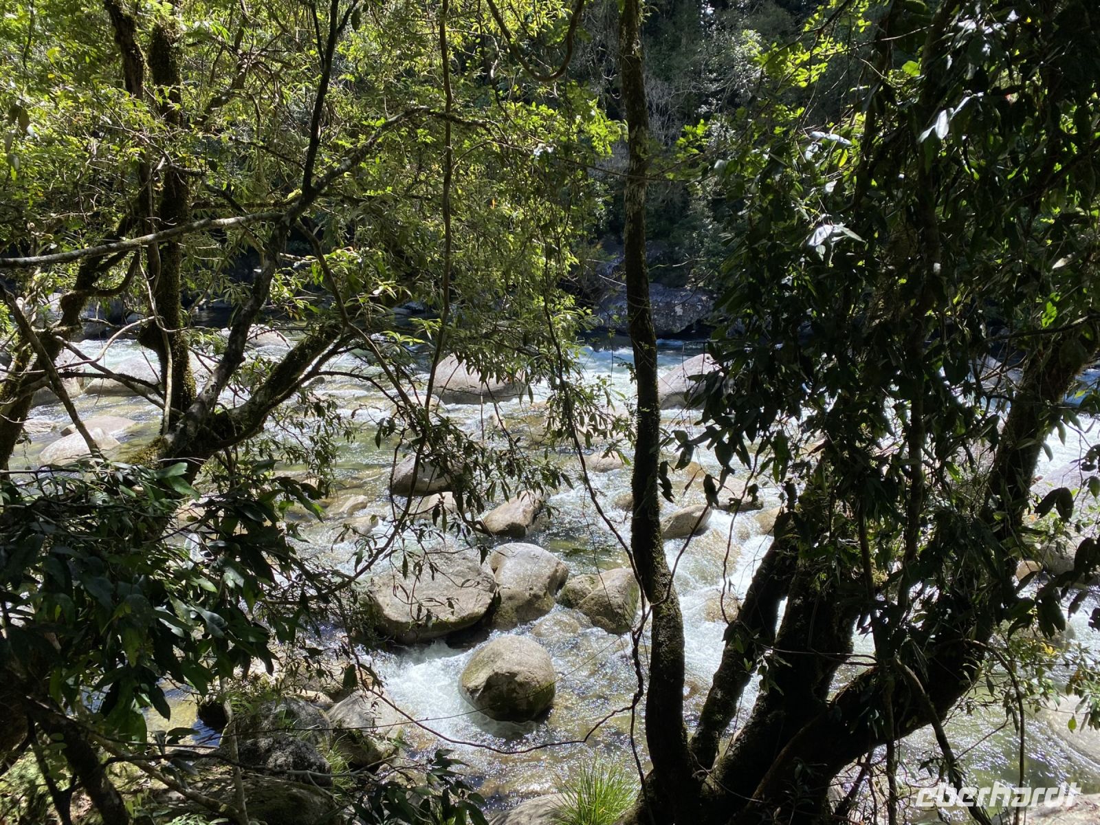 Mossman Gorge &ndash; &copy; Anne Fohlert (Eberhardt TRAVEL)