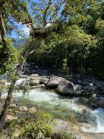 Mossman Gorge &ndash; &copy; Anne Fohlert (Eberhardt TRAVEL)