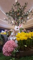 Rundreise Australien - Stoppover in Singapur - Marina Bay Sands &ndash; &copy; Franziska Bergmann (Eberhardt TRAVEL)