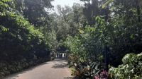 Rundreise Australien - Stoppover mit Stadtrundfahrt in Singapur  &ndash; &copy; Franziska Bergmann (Eberhardt TRAVEL)