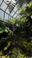 Rundreise Australien - Stoppover mit Stadtrundfahrt in Singapur  &ndash; &copy; Franziska Bergmann (Eberhardt TRAVEL)