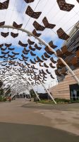 Rundreise Australien - Rundfahrt in Perth &ndash; &copy; Franziska Bergmann (Eberhardt TRAVEL)