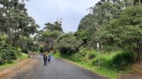 Rundreise Australien - Stopp an der Great Ocean Road &ndash; &copy; Franziska Bergmann (Eberhardt TRAVEL)