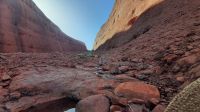 Rundreise Australien - Wanderung bei den Kata Tjutas im Outback &ndash; &copy; Franziska Bergmann (Eberhardt TRAVEL)