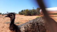 Rundreise Australien - unterwegs im Outback &ndash; &copy; Franziska Bergmann (Eberhardt TRAVEL)