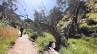 Rundreise Australien - Besuch von Stanley Chasm &ndash; &copy; Franziska Bergmann (Eberhardt TRAVEL)