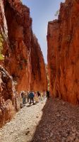 Rundreise Australien - Besuch von Stanley Chasm &ndash; &copy; Franziska Bergmann (Eberhardt TRAVEL)