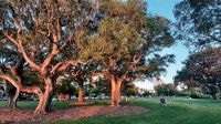 Rundreise Australien - Sonnenuntergang zum Bergfest in Darwin &ndash; &copy; Franziska Bergmann (Eberhardt TRAVEL)