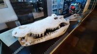 Rundreise Australien - unterwegs im Roadhouse &ndash; &copy; Franziska Bergmann (Eberhardt TRAVEL)