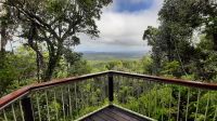 Rundreise Australien - Spaziergang im Regenwald bei Cairns
