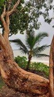 &copy; Franziska Bergmann (Eberhardt TRAVEL)