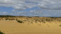 Rundreise Australien - Pinnacles-Kalksteinfelsen &ndash; &copy; Franziska Bergmann (Eberhardt TRAVEL)