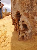 Pinnacles Nambung NP &ndash; &copy; Jürgen Müller (Eberhardt TRAVEL)