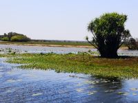 Yellow Water River &ndash; &copy; Jürgen Müller (Eberhardt TRAVEL)