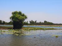 Yellow Water River &ndash; &copy; Jürgen Müller (Eberhardt TRAVEL)