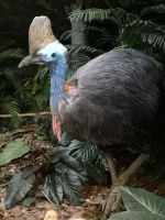 Regenwald Exkursion &ndash; &copy; Jürgen Müller (Eberhardt TRAVEL)