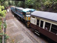 Regenwald Exkursion &ndash; &copy; Jürgen Müller (Eberhardt TRAVEL)