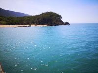 Palm Cove Beach &ndash; &copy; Jürgen Müller (Eberhardt TRAVEL)