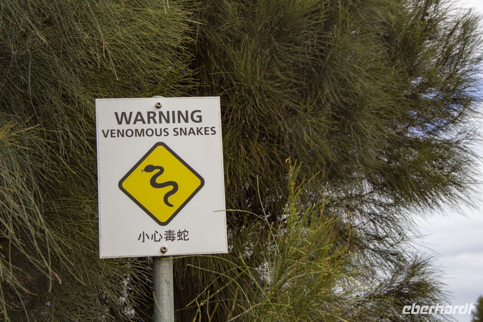 073 – Australien, Great Ocean Road &ndash; &copy; Vivien Fiedler (Eberhardt TRAVEL)