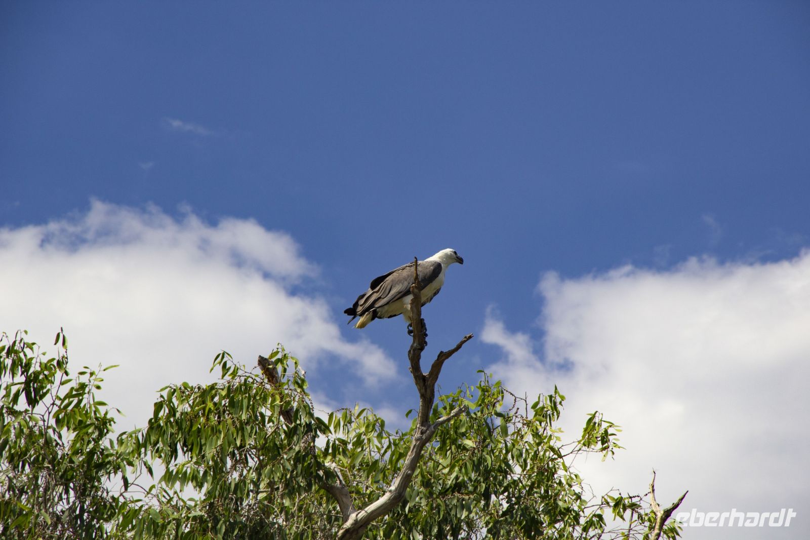 156 – Australien, Kakadu-Nationalpark &ndash; &copy; Vivien Fiedler (Eberhardt TRAVEL)