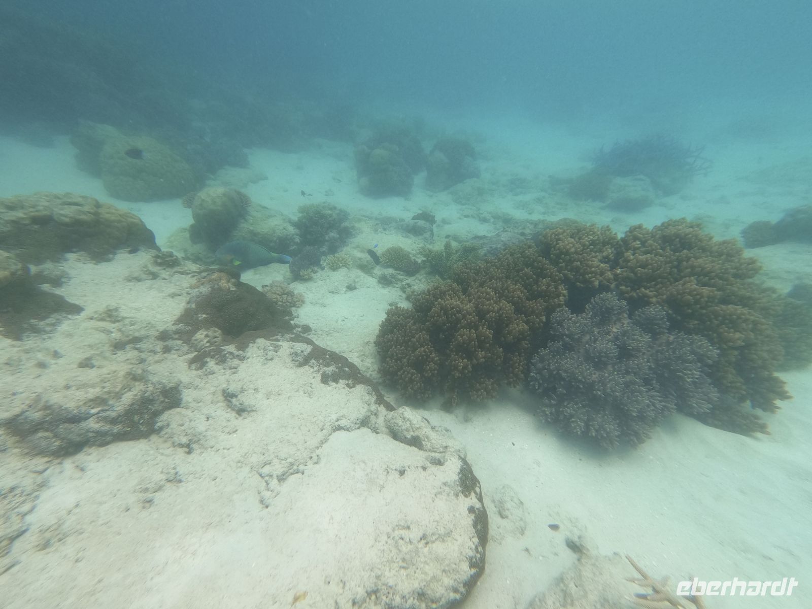 170.10 – Australien, Great Barrier Reef &ndash; &copy; Vivien Fiedler (Eberhardt TRAVEL)