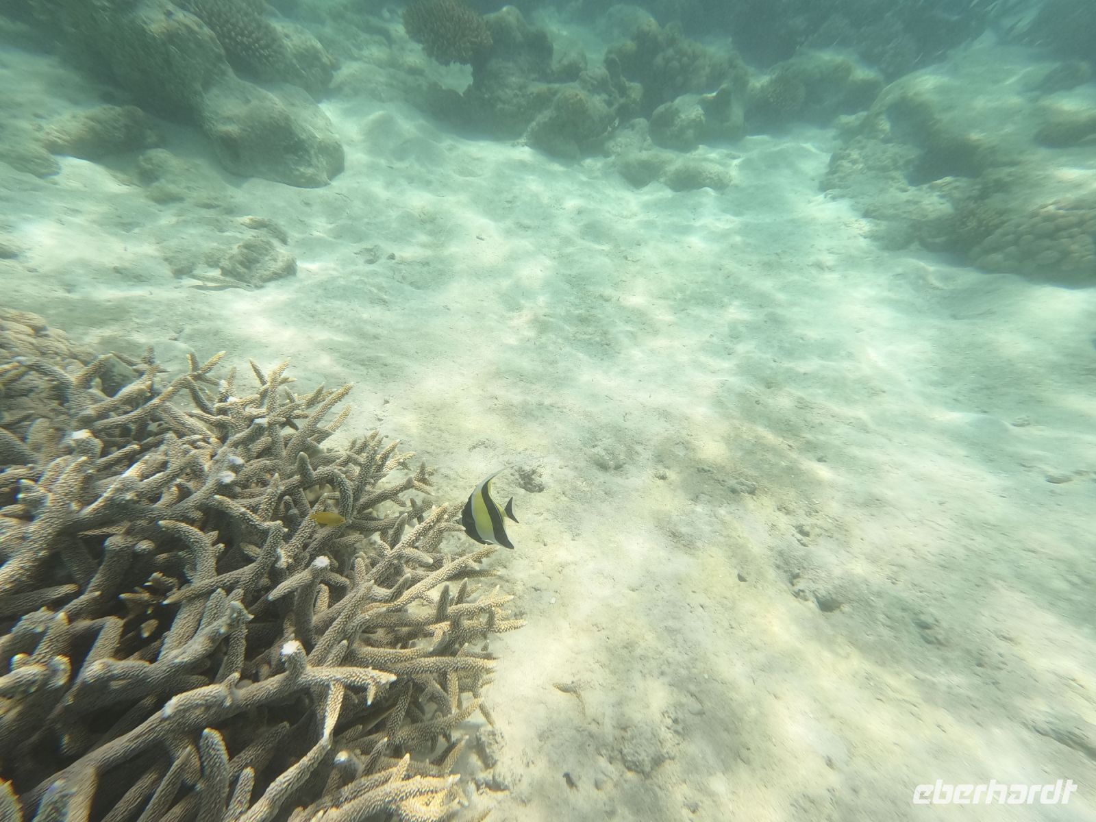 170.24 – Australien, Great Barrier Reef &ndash; &copy; Vivien Fiedler (Eberhardt TRAVEL)