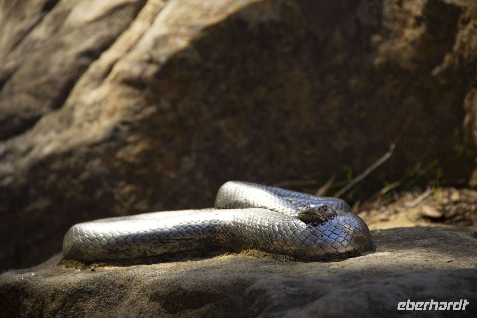 207 – Australien, Blue Mountains &ndash; &copy; Vivien Fiedler (Eberhardt TRAVEL)