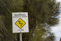 073 – Australien, Great Ocean Road &ndash; &copy; Vivien Fiedler (Eberhardt TRAVEL)