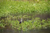 138 – Australien, Kakadu-Nationalpark &ndash; &copy; Vivien Fiedler (Eberhardt TRAVEL)