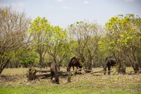 141 – Australien, Kakadu-Nationalpark &ndash; &copy; Vivien Fiedler (Eberhardt TRAVEL)