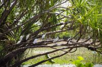 145 – Australien, Kakadu-Nationalpark &ndash; &copy; Vivien Fiedler (Eberhardt TRAVEL)