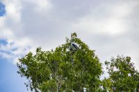 146 – Australien, Kakadu-Nationalpark &ndash; &copy; Vivien Fiedler (Eberhardt TRAVEL)