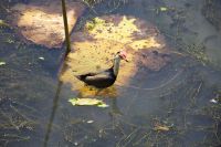 147 – Australien, Kakadu-Nationalpark &ndash; &copy; Vivien Fiedler (Eberhardt TRAVEL)