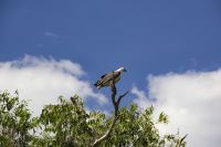 156 – Australien, Kakadu-Nationalpark &ndash; &copy; Vivien Fiedler (Eberhardt TRAVEL)