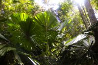 164 – Australien, Cairns, Kuranda &ndash; &copy; Vivien Fiedler (Eberhardt TRAVEL)