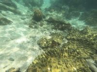 170.04 – Australien, Great Barrier Reef &ndash; &copy; Vivien Fiedler (Eberhardt TRAVEL)