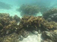 170.06 – Australien, Great Barrier Reef &ndash; &copy; Vivien Fiedler (Eberhardt TRAVEL)